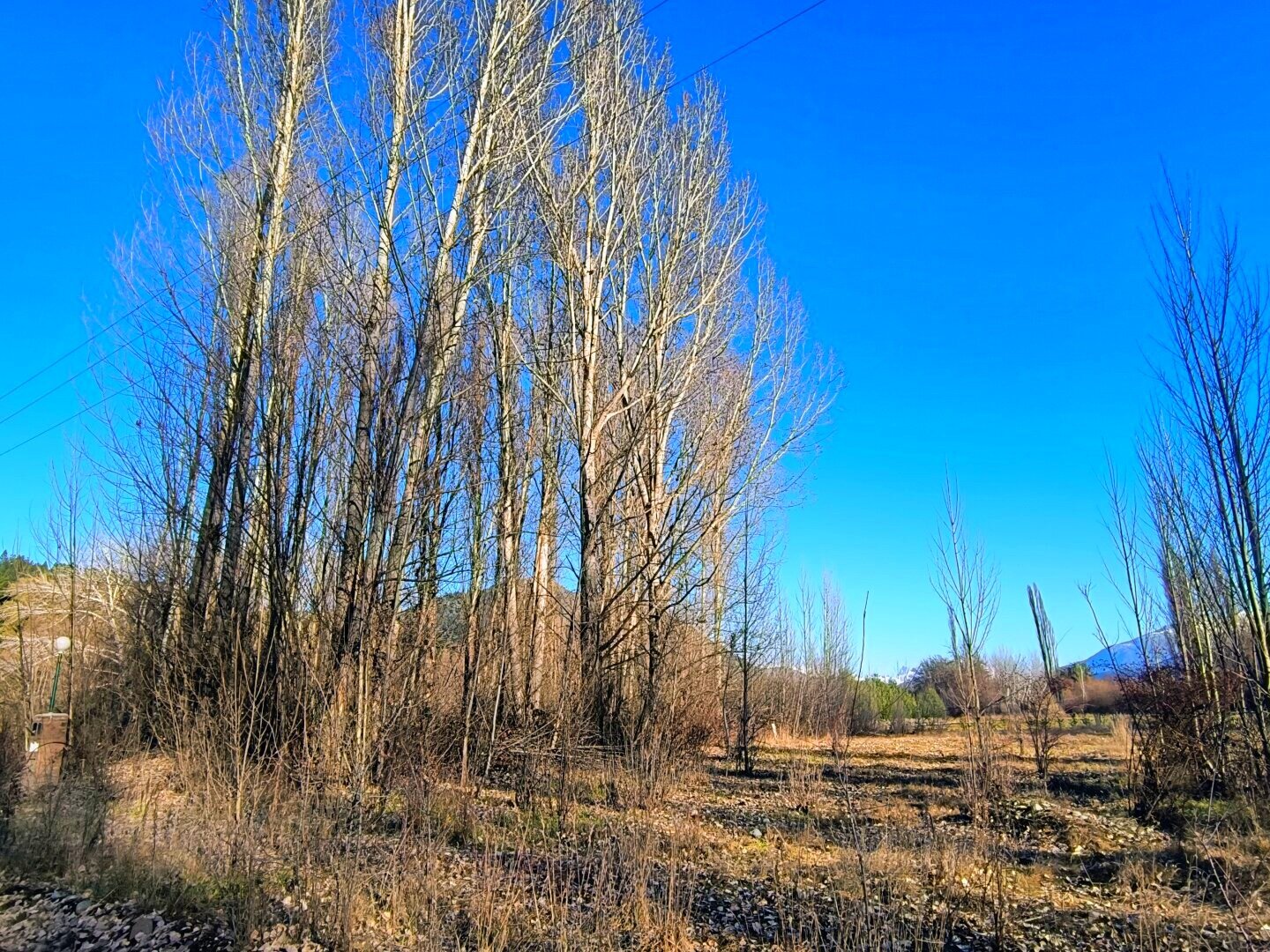 (087) LAGO PUELO, Terrenos 1800 m2, Pje. Entre Ríos - 15
