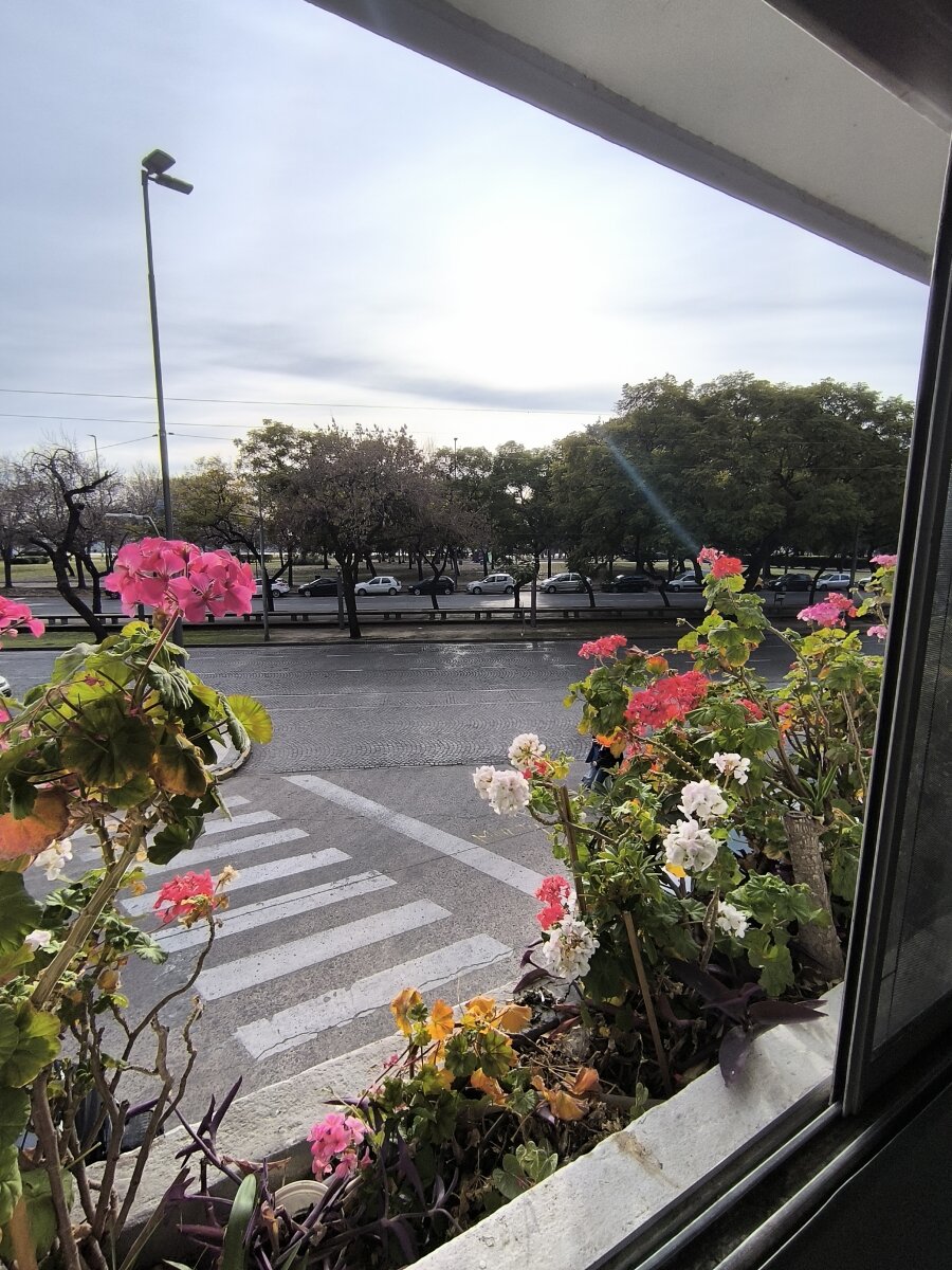Oficinas Guemes 1800 - 5