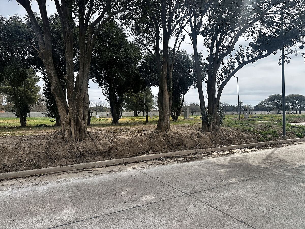 Lote 360 m² apto dúplex con arboleda, frente al norte, en La Calandria II · Mza 32 Lt 6 — foto 4