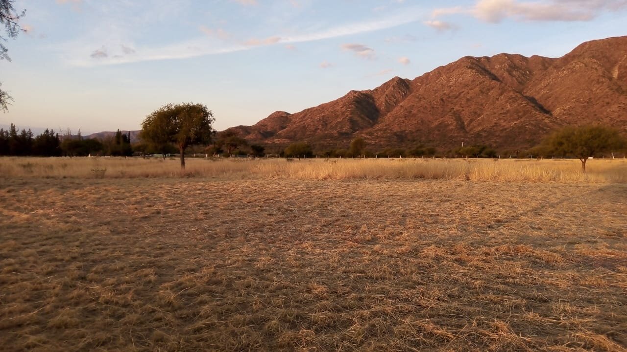 HOTEL LUJAN A LA VENTA - 28