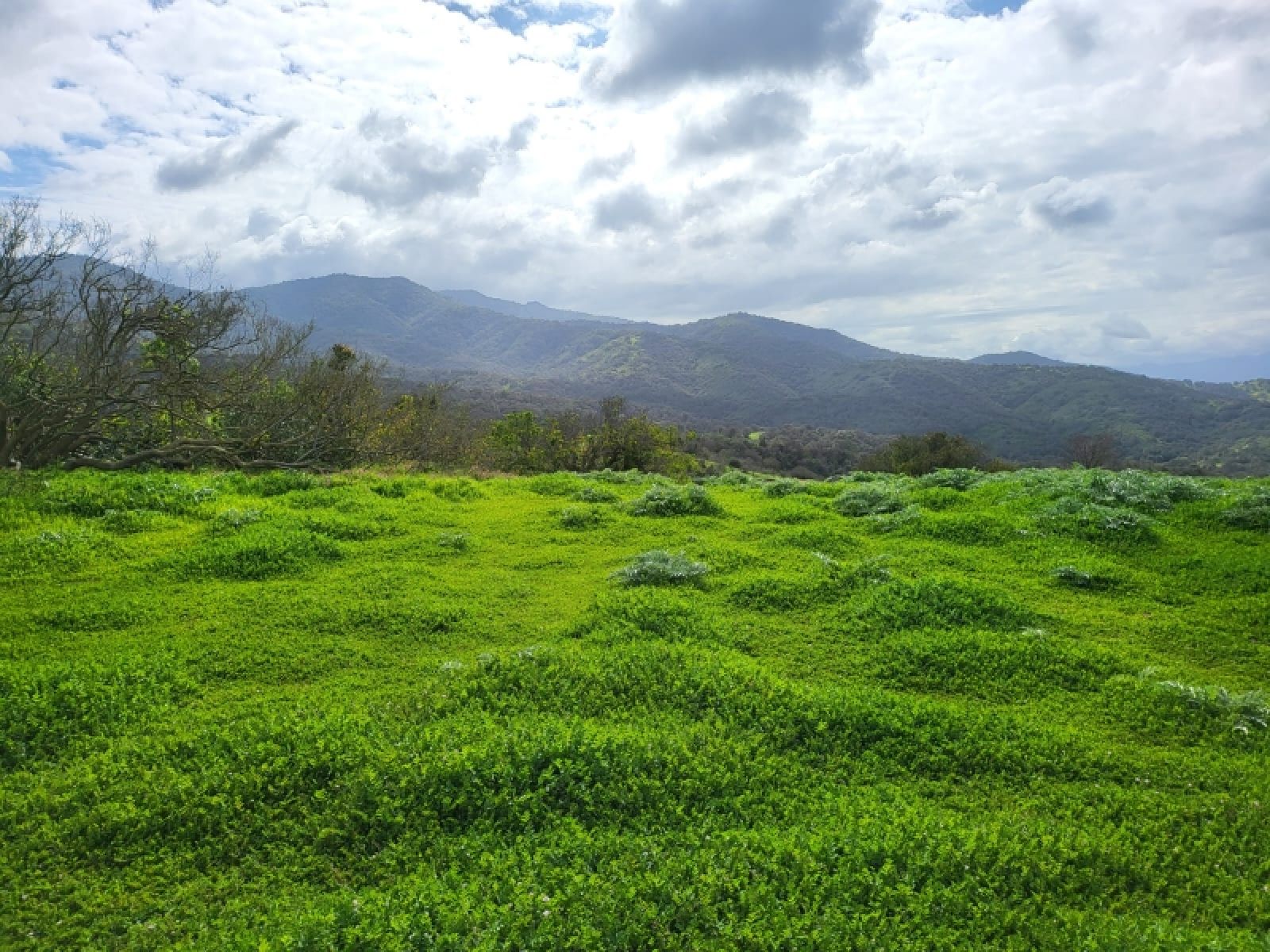 Sitios Santa Rosa de Cachagua