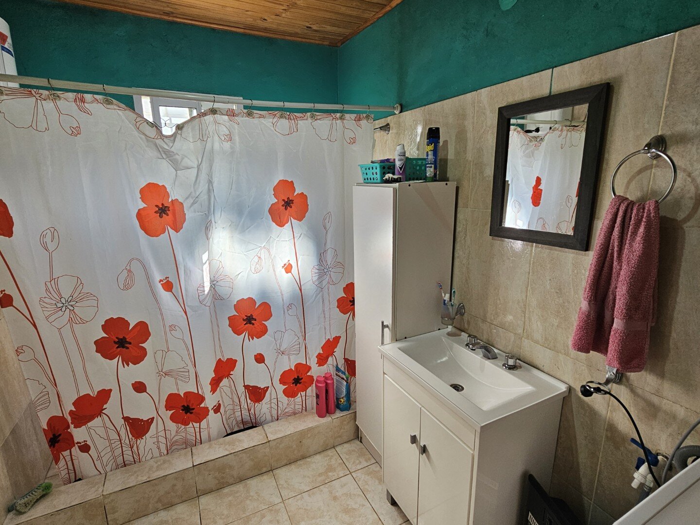 VENTA | Casa de 3 dormitorios con terreno! Monte Caseros 463 – Victoria, Entre Ríos - 22