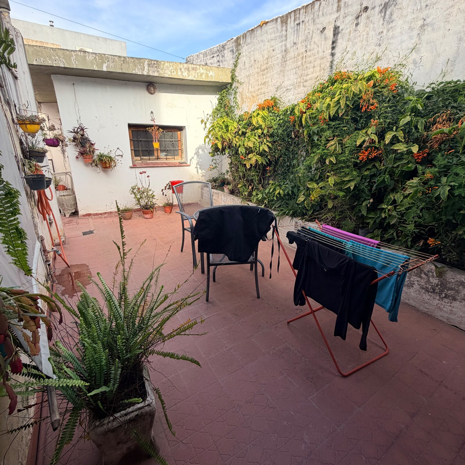 Casa 3 Dormitorios con 2 Patios y Cochera en La France | 2 Baños | Escritura — foto 8