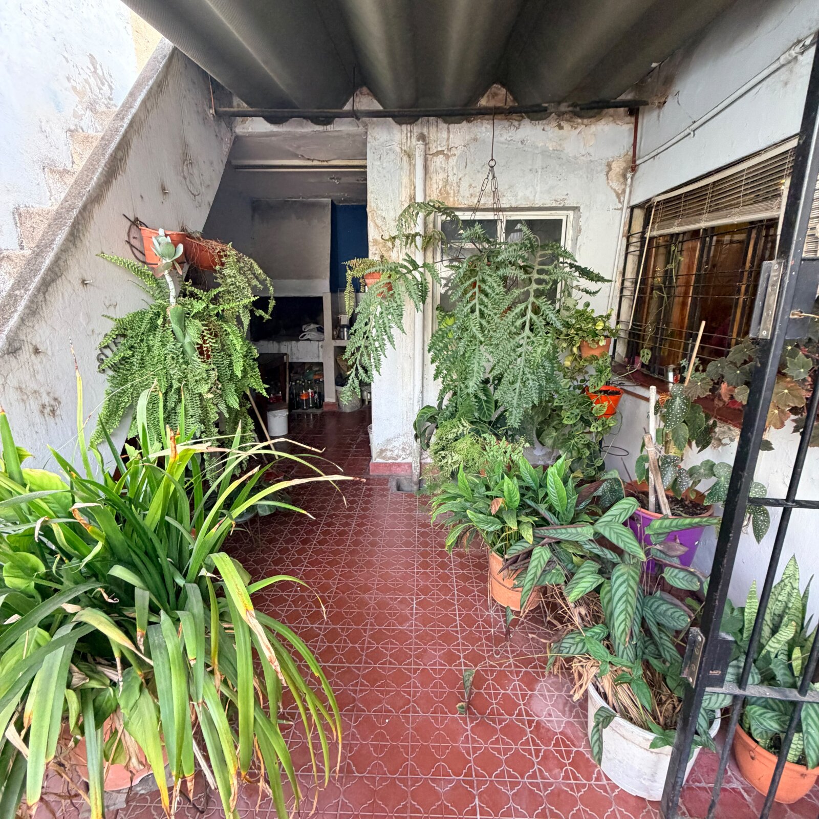Casa 3 Dormitorios con 2 Patios y Cochera en La France | 2 Baños | Escritura — foto 14