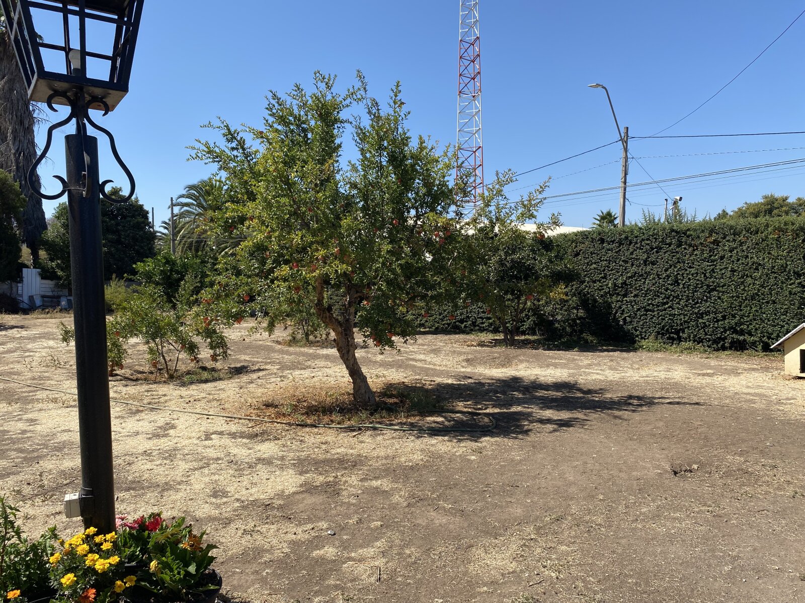 Foto 5