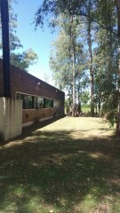 Casas - Iriondo - Venta