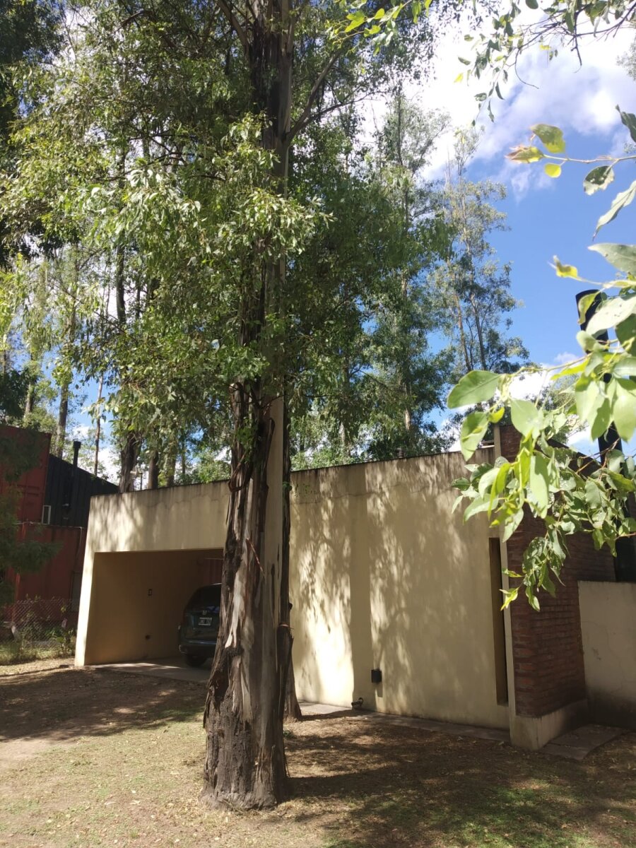 VENTA CASA UN DORMITORIO Y COMODÍN PISCINA EN CAMPO TIMBÓ - 5