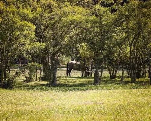 Venta Lote 1500 M2 Estancia Villa Maria - 3