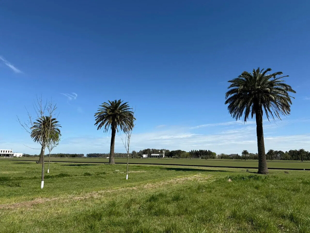Venta Terreno Barrio Puesto Viejo Estancia Polo Cañuelas — foto 11