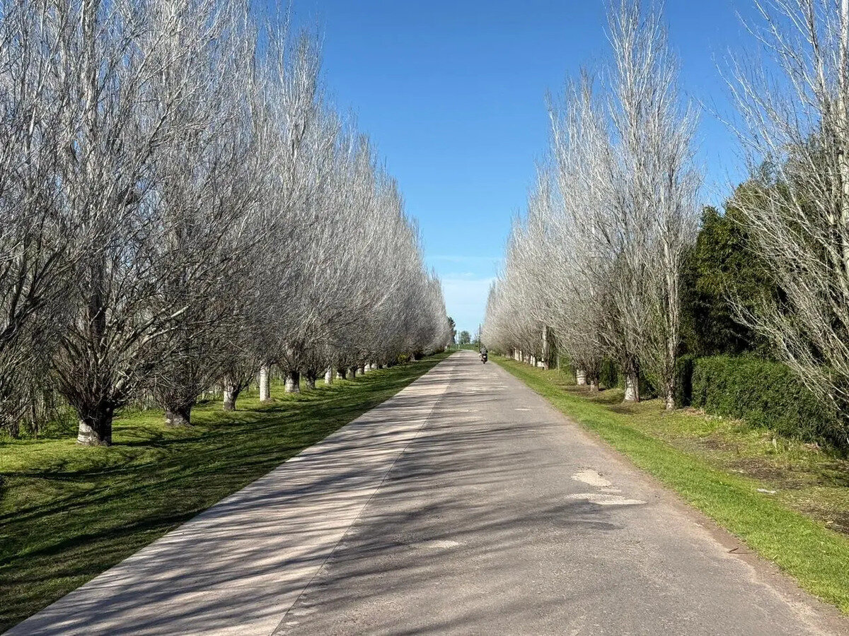 Venta Terreno Barrio Puesto Viejo Estancia Polo Cañuelas — foto 4