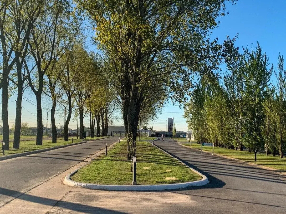 Venta Lote Barrio La Alameda A La Laguna - 10