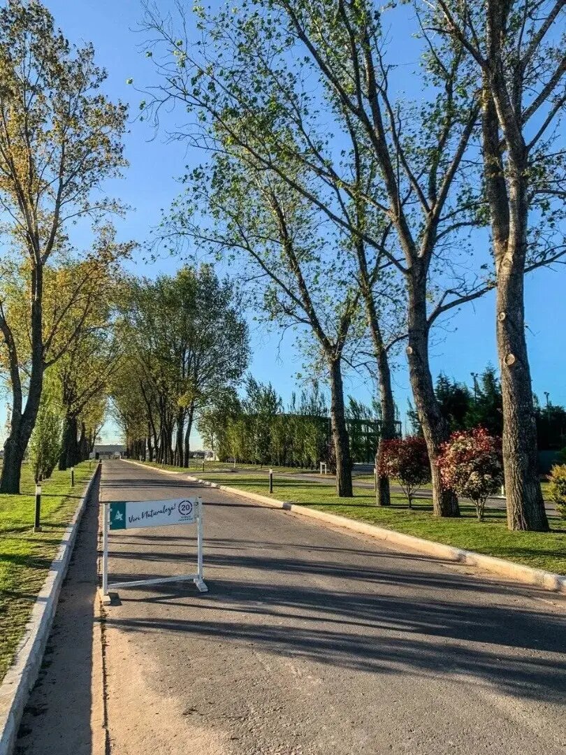 Venta Lote Barrio La Alameda A La Laguna - 9