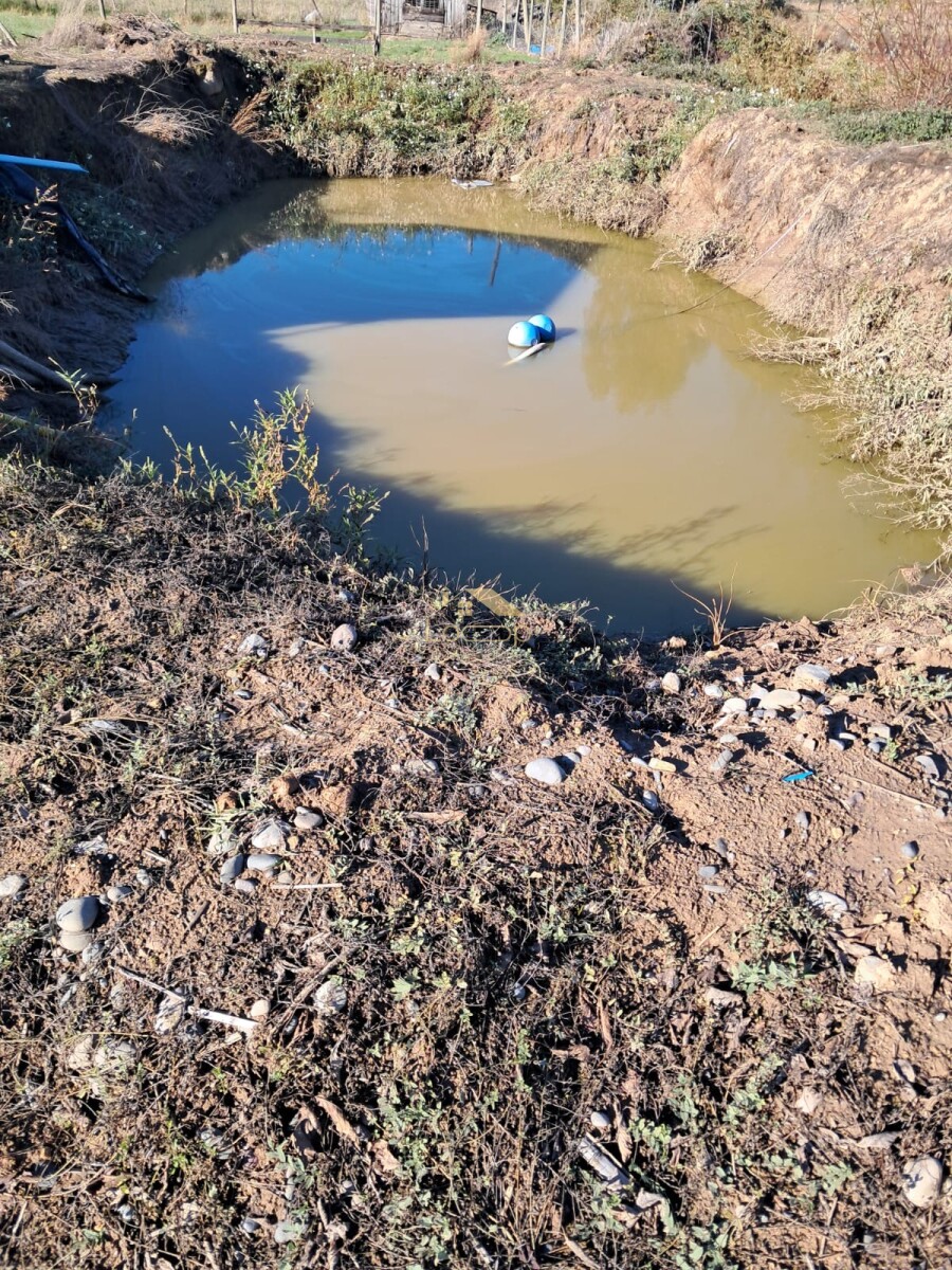 Foto 14