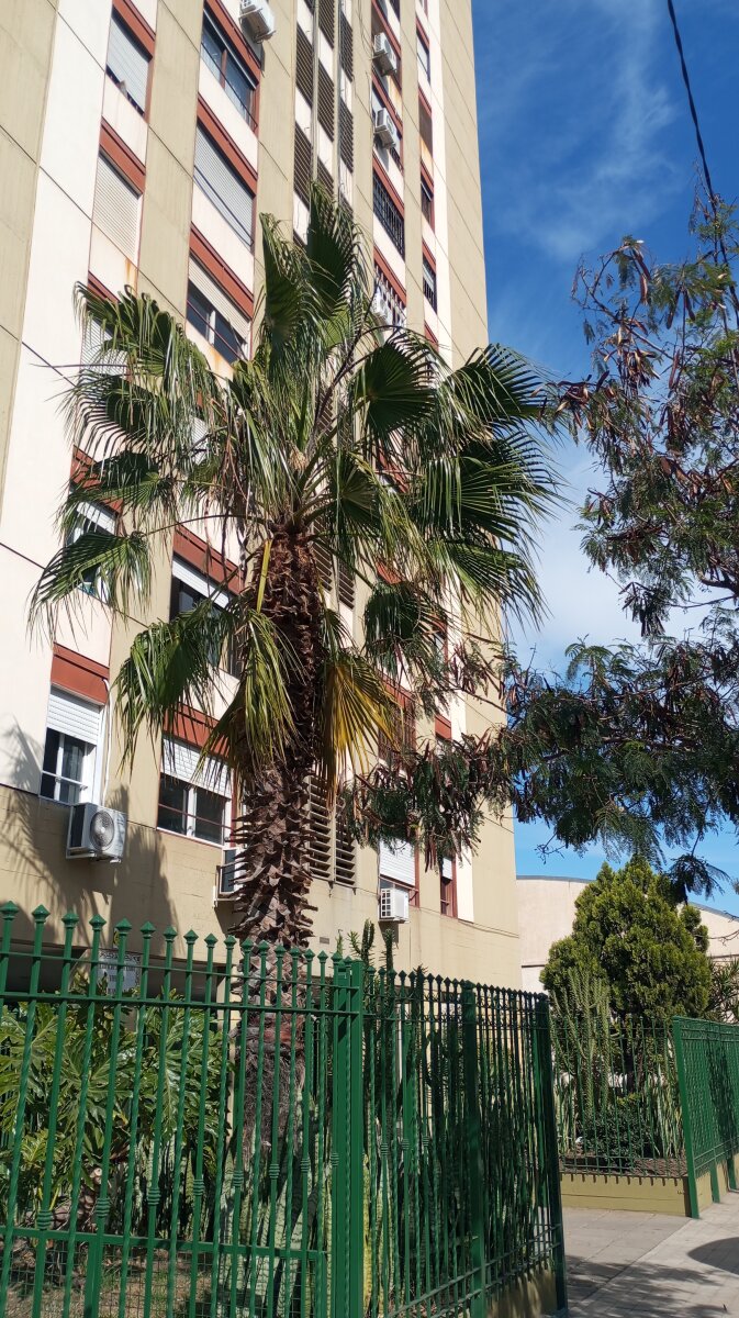 DEPARTAMENTO EN VENTA, EN B° COFICO, 2 DORMITORIOS, ESCRITURA - 1