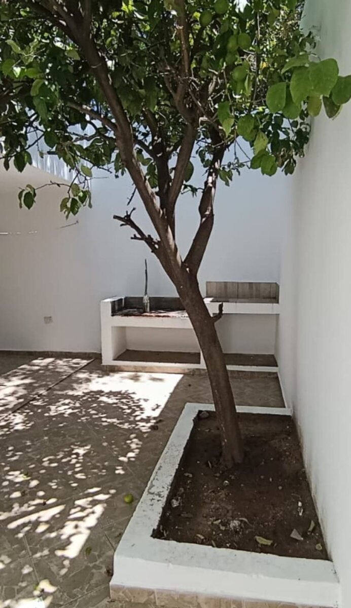 CASA 2 DORMITORIOS AMOBLADA CON JARDÍN Y COCHERA - 28