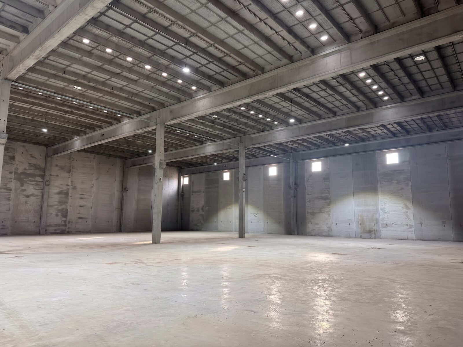 Nave Industrial y Logística de 1.700 m2 en Alquiler - Camino Imperiale 2487 - 3