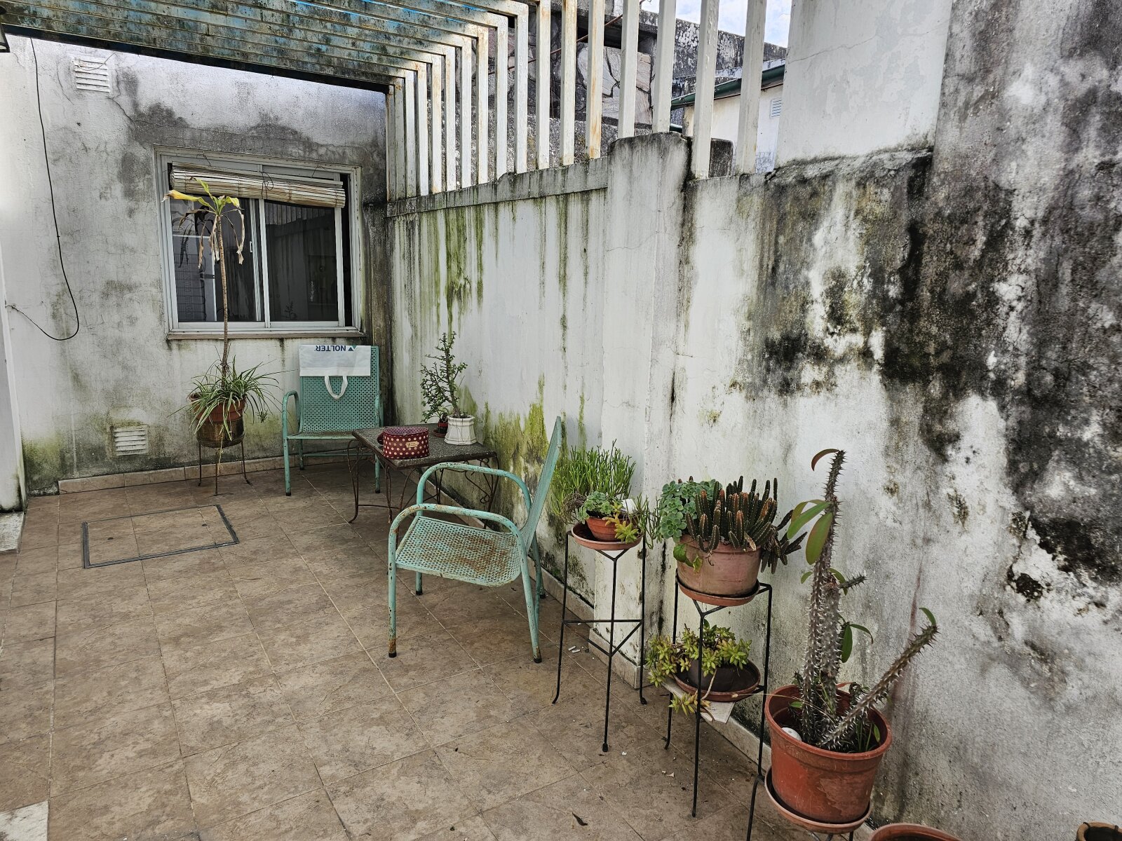 VENTA | Casa de 2 dormitorios con jardín y patio! Mitre 356 – Victoria, Entre Ríos - 25