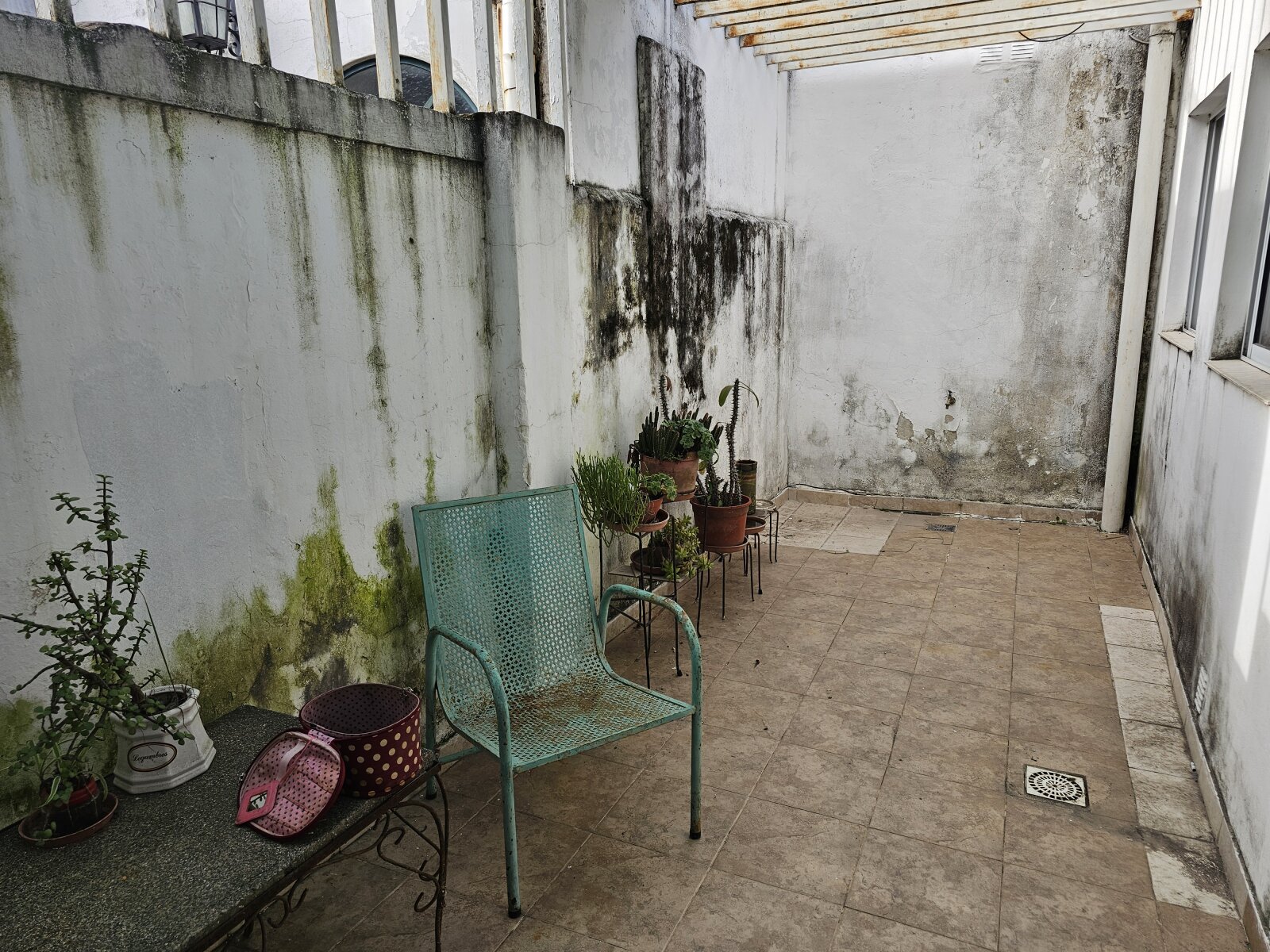 VENTA | Casa de 2 dormitorios con jardín y patio! Mitre 356 – Victoria, Entre Ríos - 26