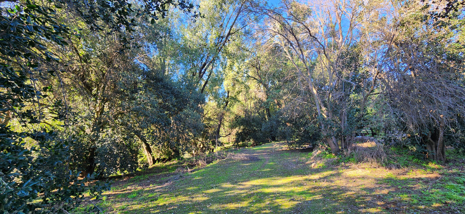 Parcela 10.446 m² con bosque nativo y quebrada, en parcelación con portería 24 horas