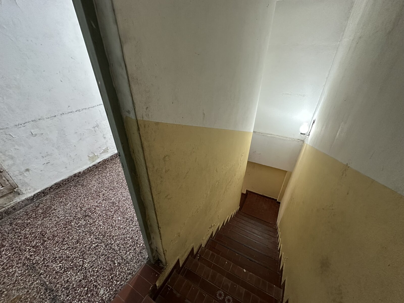 LOCAL COMERCIAL PLANTA ALTA - 27