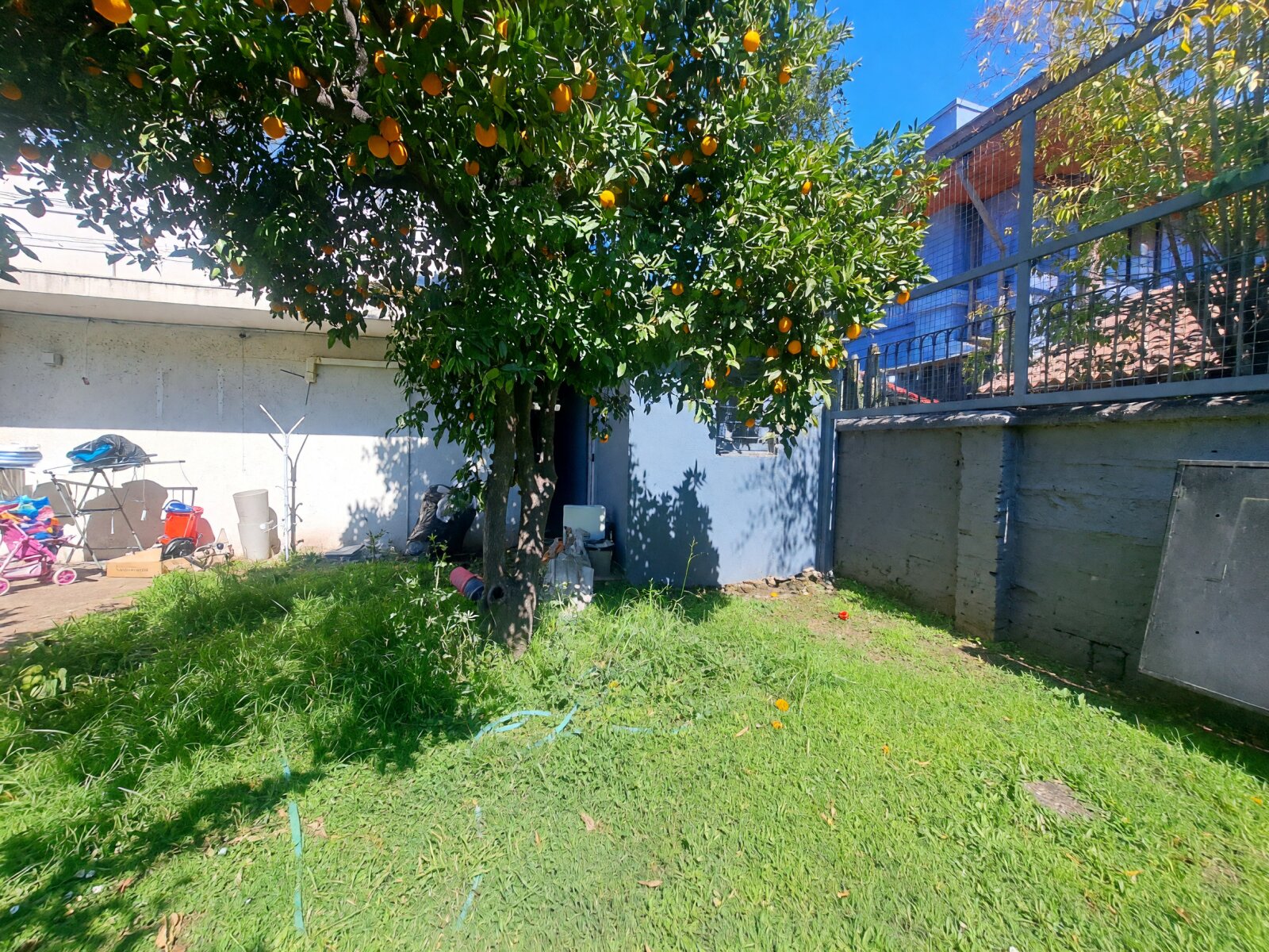 Foto 15