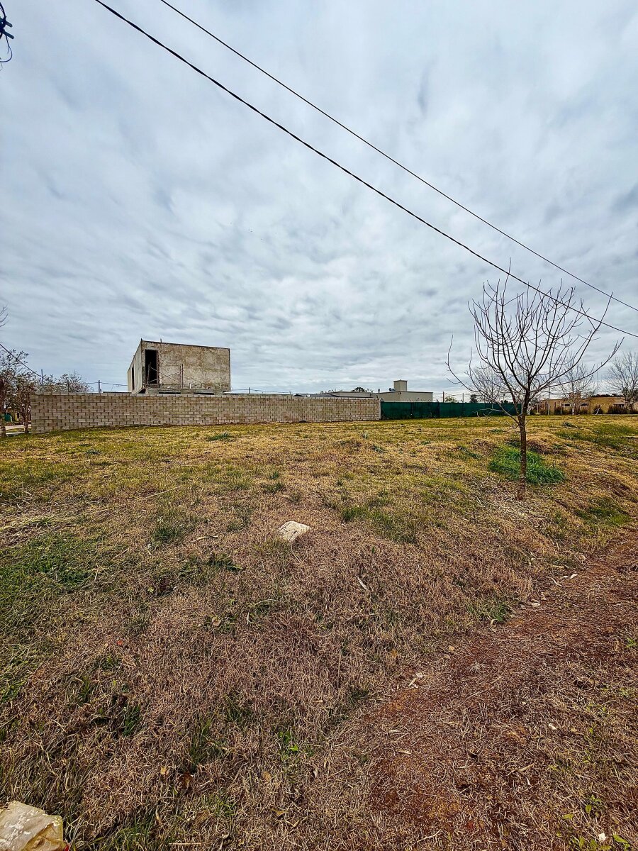 LOTE EN VENTA EN PERGAMINO — foto 2