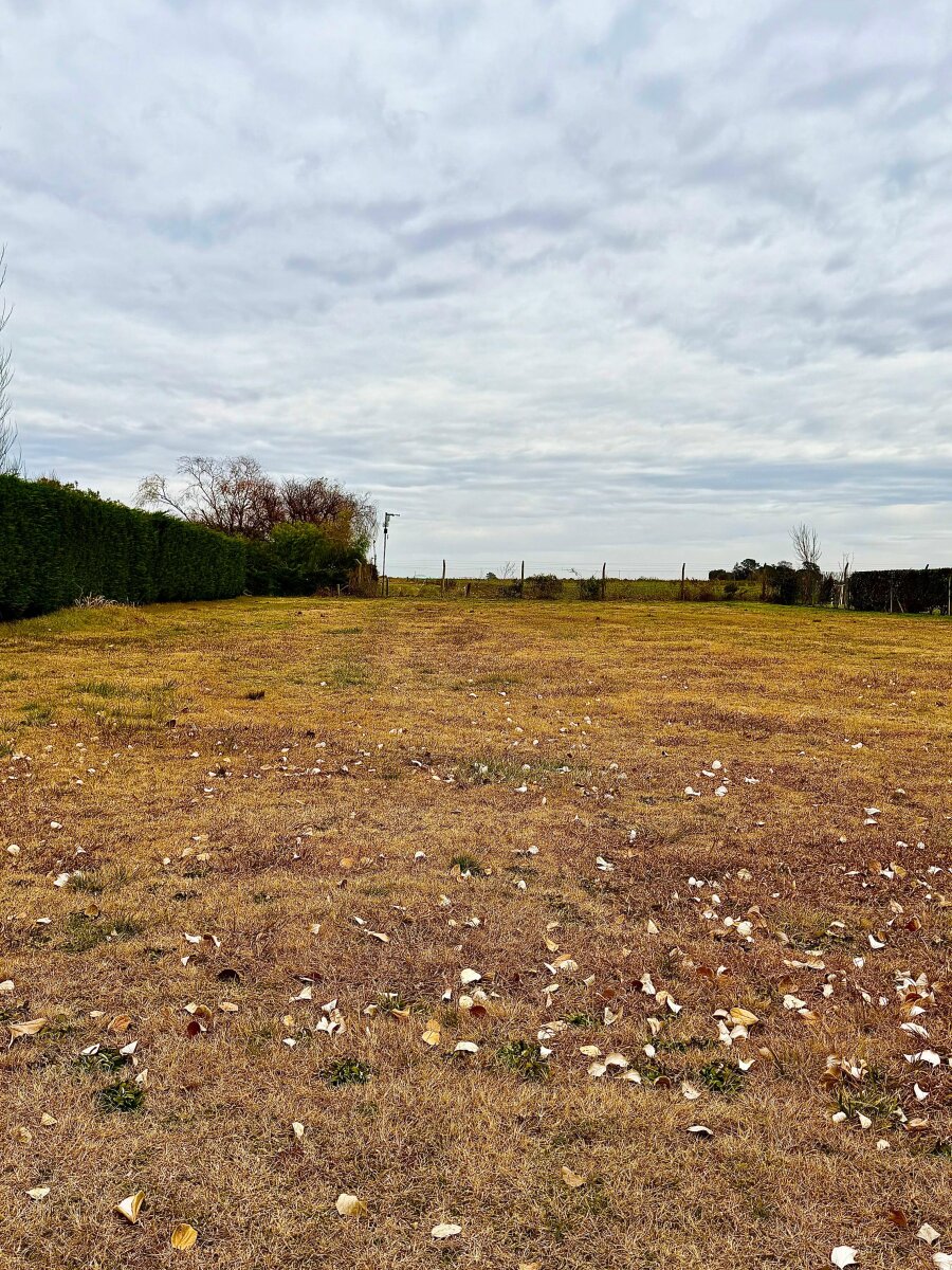 LOTE EN VENTA EN CHACRAS DE PERGAMINO - 6