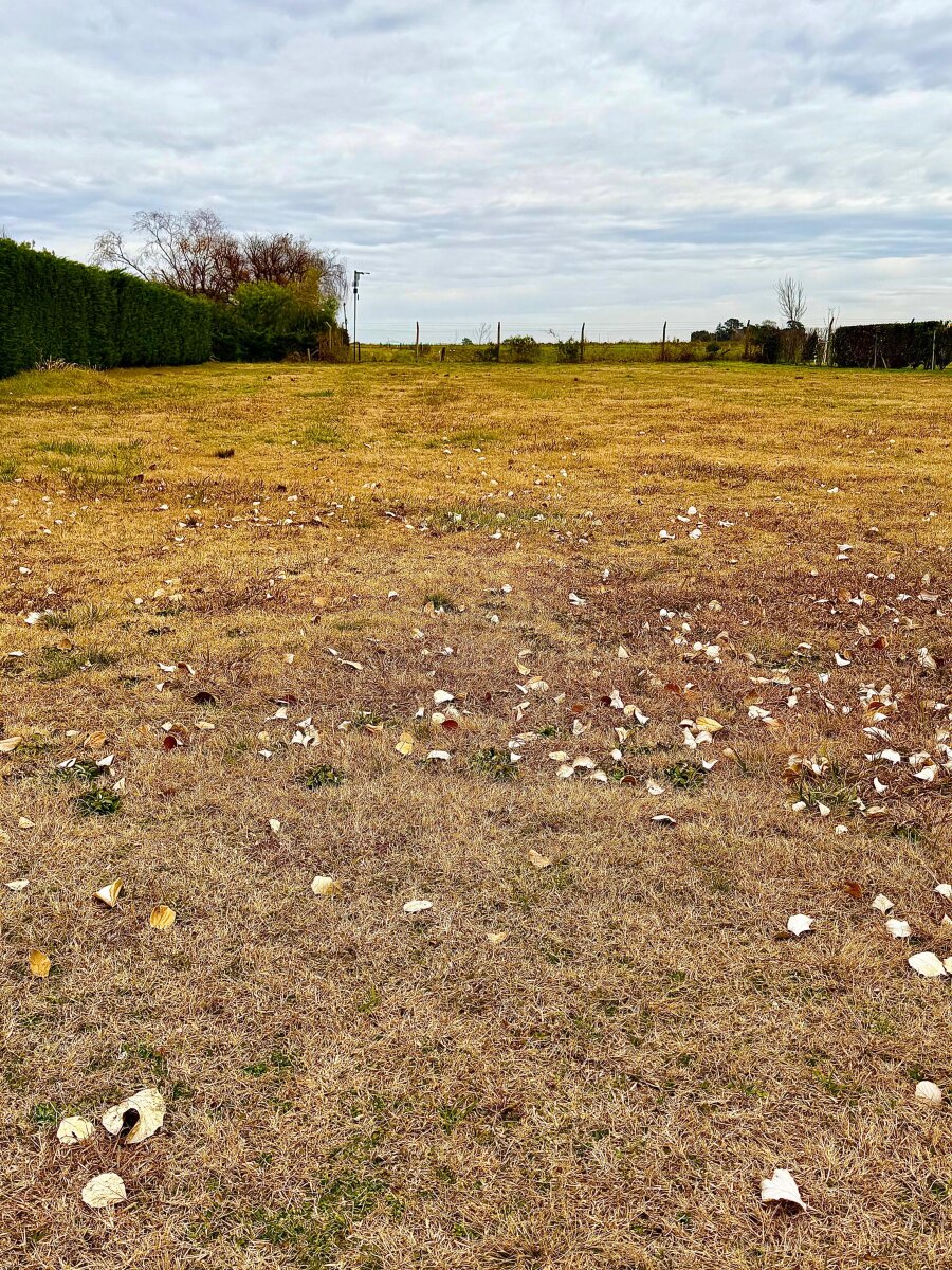LOTE EN VENTA EN CHACRAS DE PERGAMINO - 5