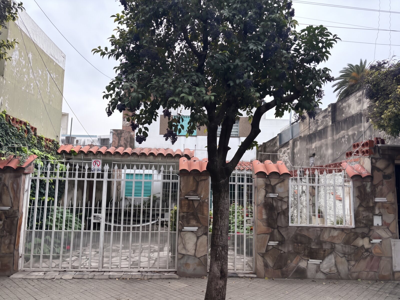 Carrasco 1680 - Casa en PB y Departamento en PA - Arroyito — foto 10