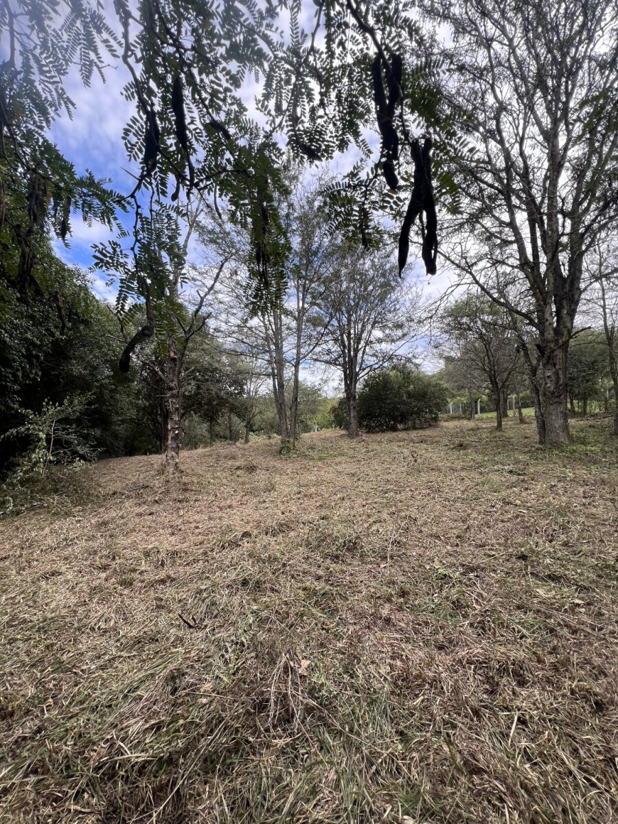 MACRO LOTE EN VENTA – VILLA WARCALDE - 5