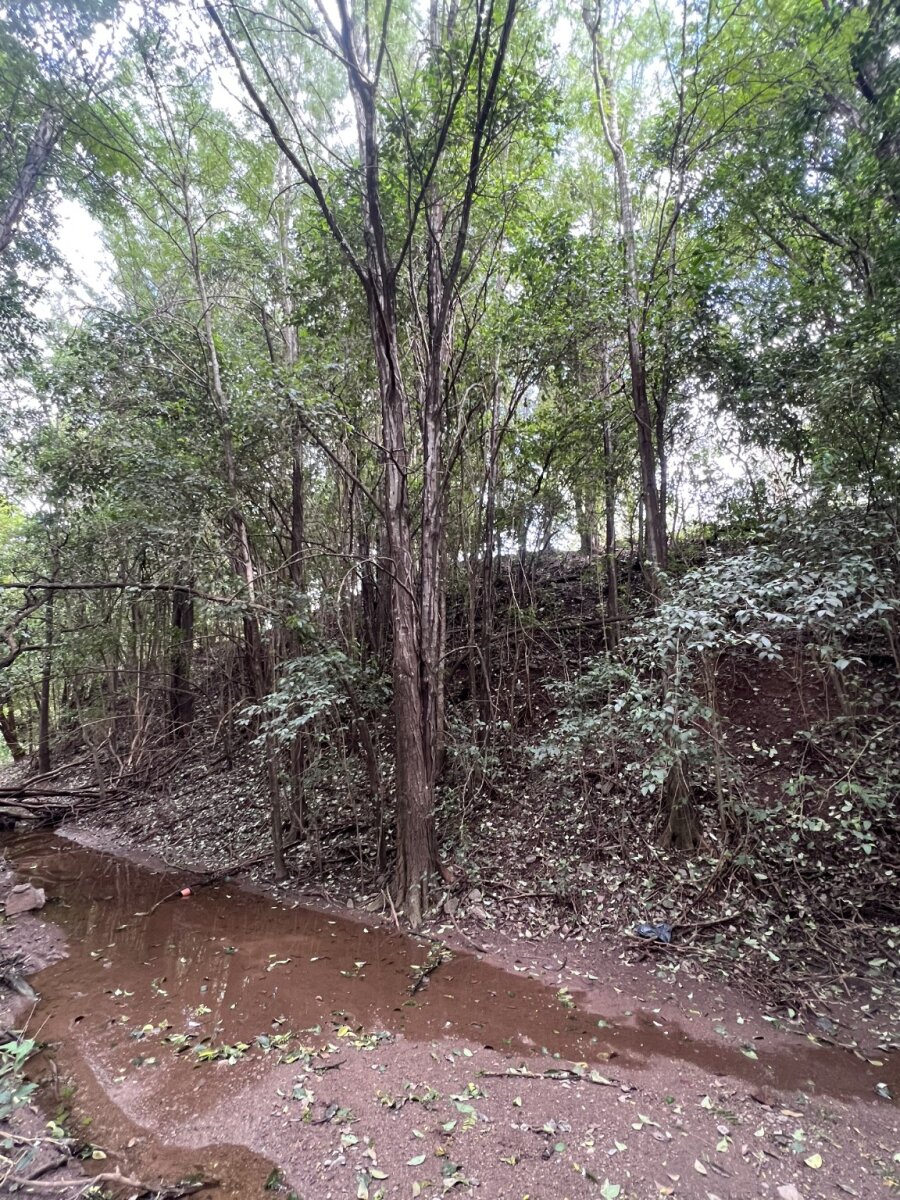 MACRO LOTE EN VENTA – VILLA WARCALDE - 7