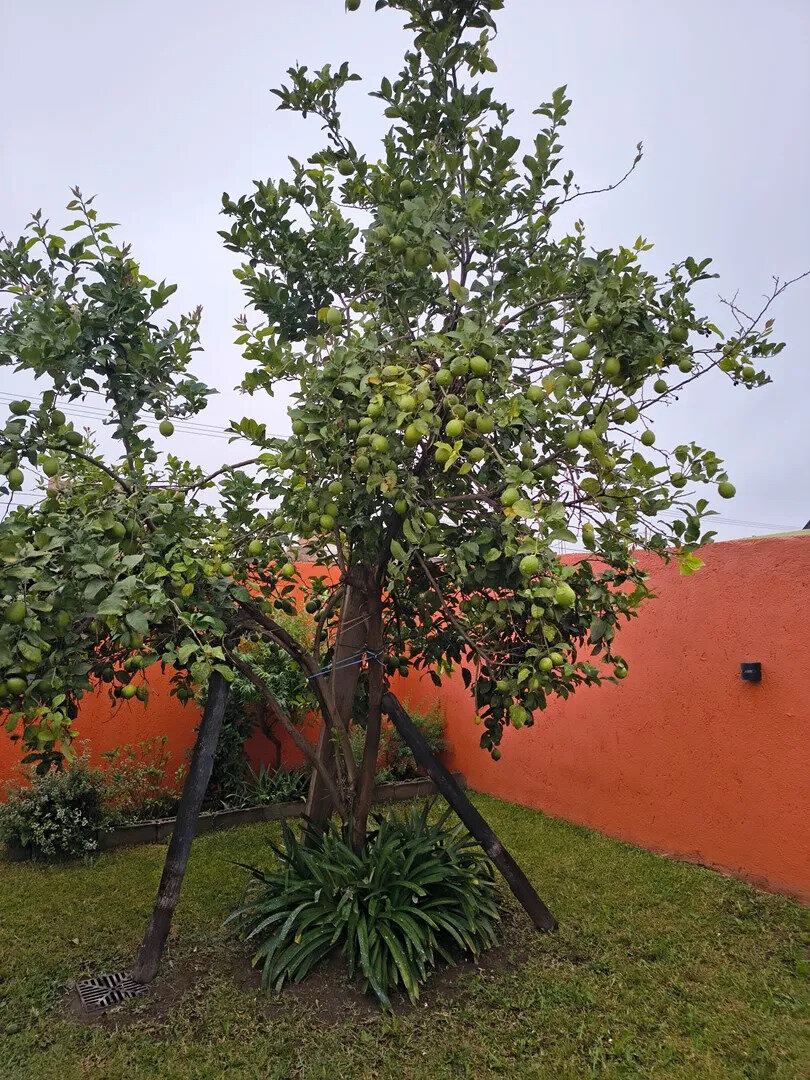 Casa Chalet  En Venta En Universitario De Horizonte, Córdoba - Imagen 19