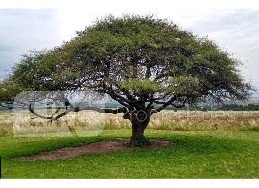 Lote en Venta .Los Reartes, Calamuchita, Córdoba - Imagen 8