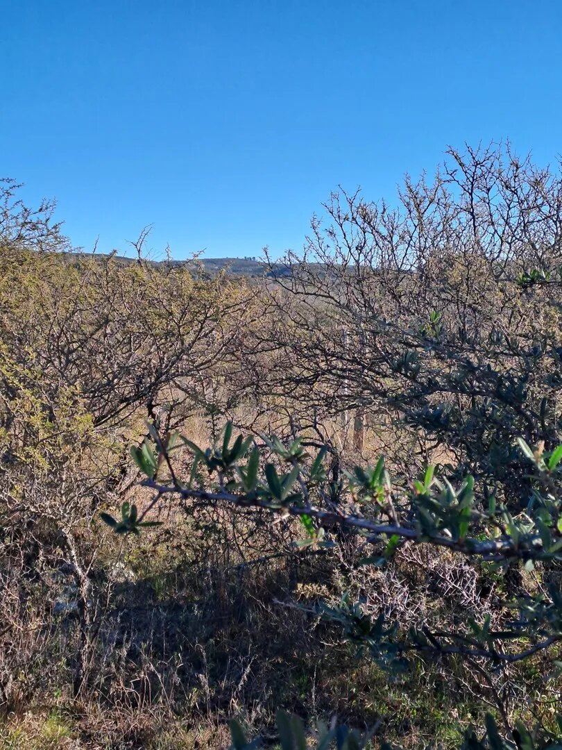 Terreno Lote  En Venta En La Falda, Punilla, Córdoba - Imagen 14