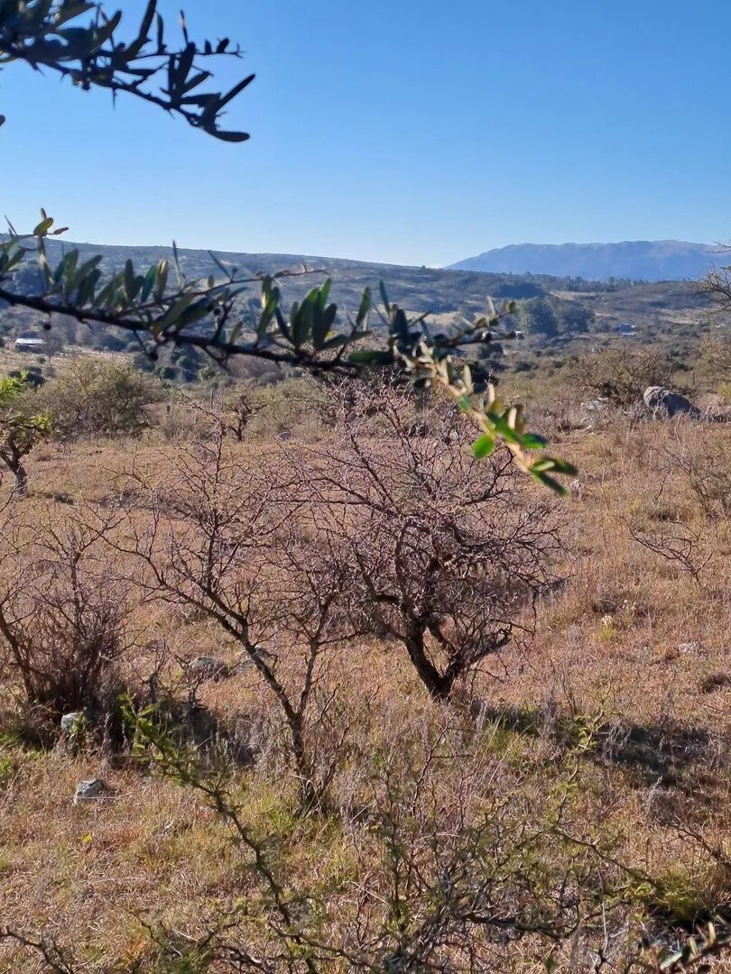 Terreno Lote  En Venta En La Falda, Punilla, Córdoba - Imagen 16
