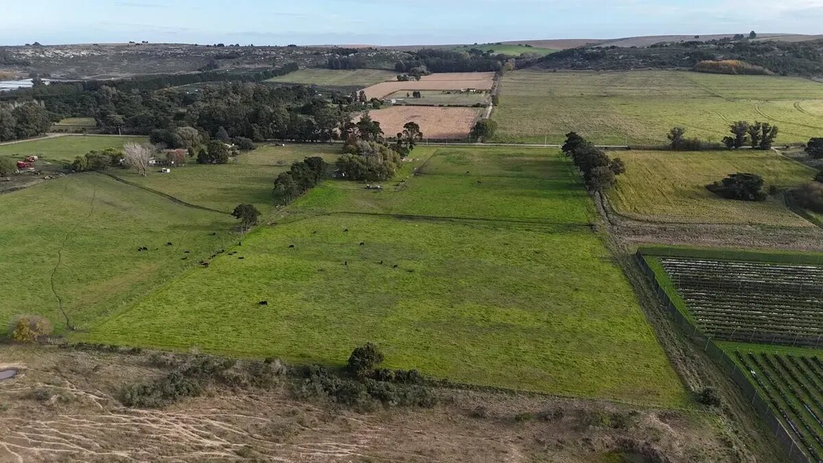 Campo En Venta | 6.5 Ha En Sierra De Los Padres - 2