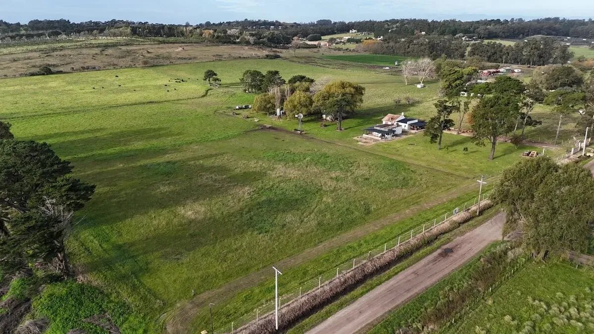 Campo En Venta | 6.5 Ha En Sierra De Los Padres - 4