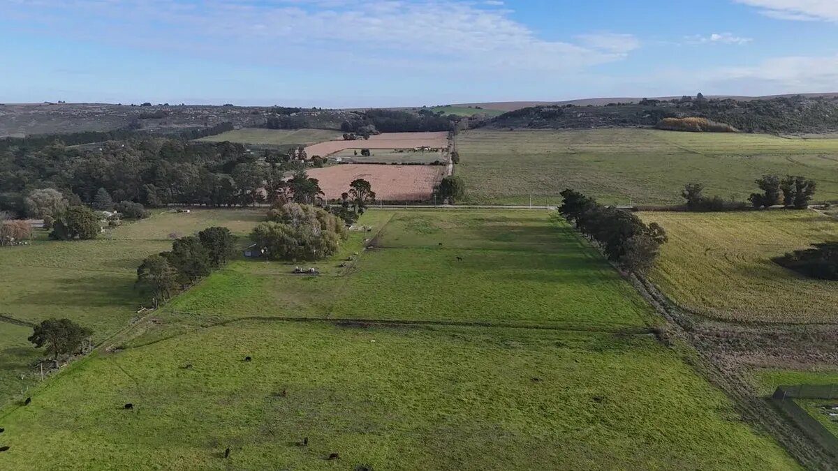 Campo En Venta | 6.5 Ha En Sierra De Los Padres - 3