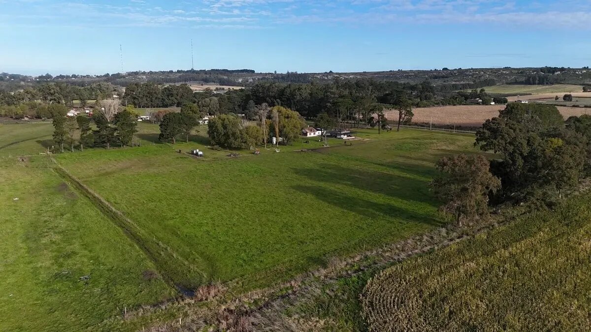 Campo En Venta | 6.5 Ha En Sierra De Los Padres - 5