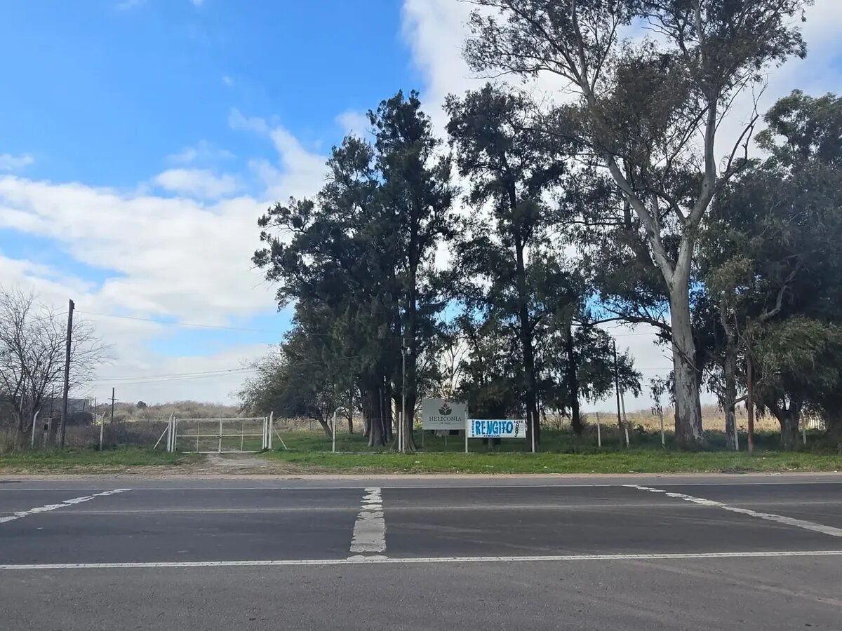 67 Hectareas En Block Canning Precio Por Hectarea - 2