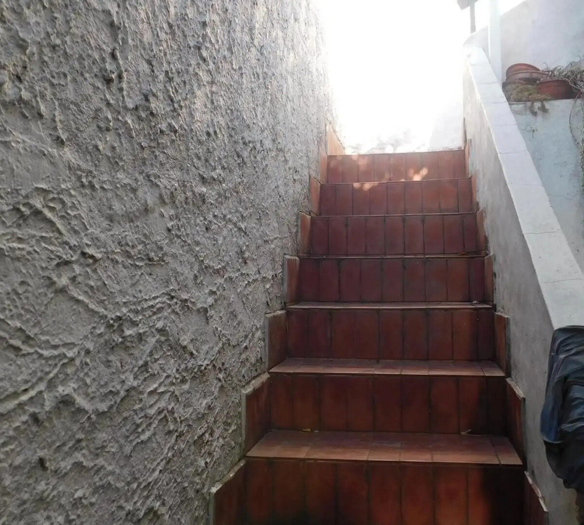 Casa En Esquina Con Local Con Baño - 20