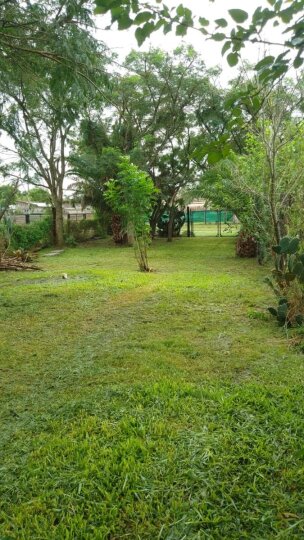 Casas - Iriondo - Venta