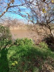 Casas - Iriondo - Venta