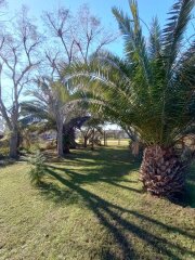 Casas - Iriondo - Venta