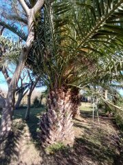 Casas - Iriondo - Venta