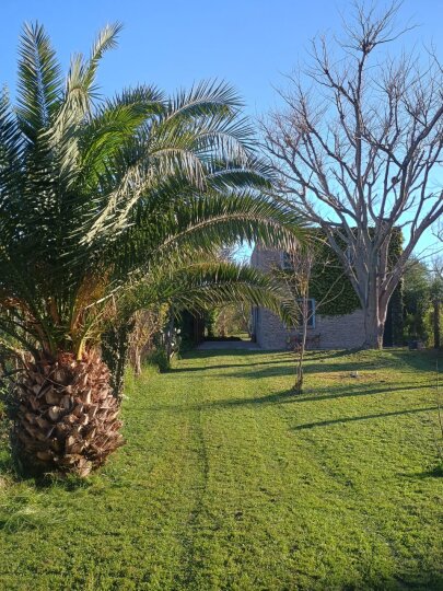 Casas - Iriondo - Venta