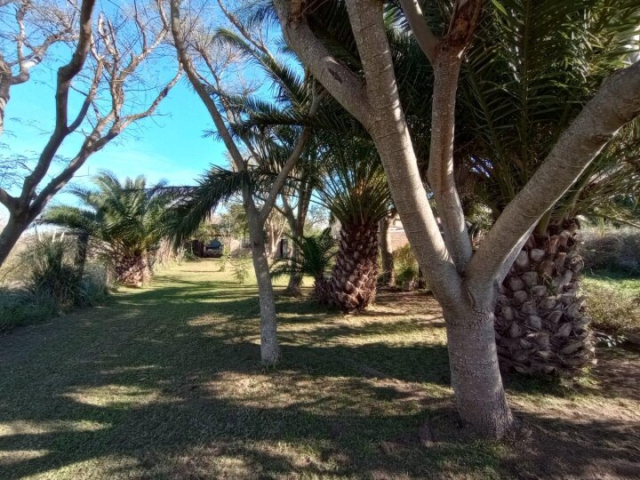 Casas - Iriondo - Venta