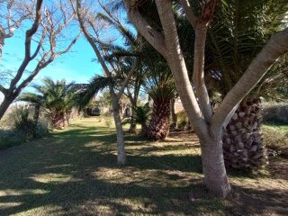 Casas - Iriondo - Venta