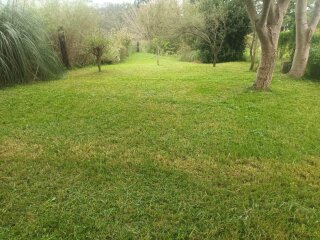 Casas - Iriondo - Venta