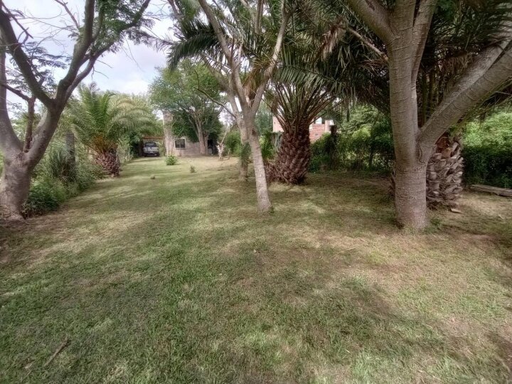 Casas - Iriondo - Venta